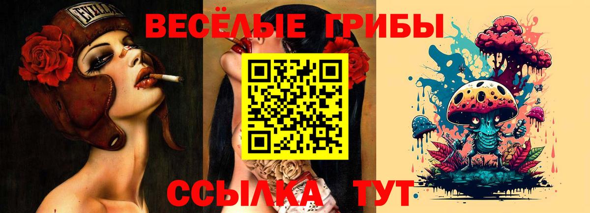 Галлюциногенные грибы Psilocybe Воскресенск