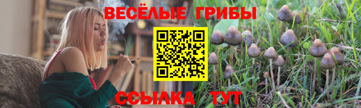 Псилоцибиновые грибы Magic Shrooms  Вход с VPN  Воскресенск 
